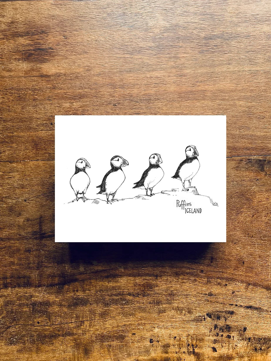 Postcard A6 Puffins - Jana Tomanová