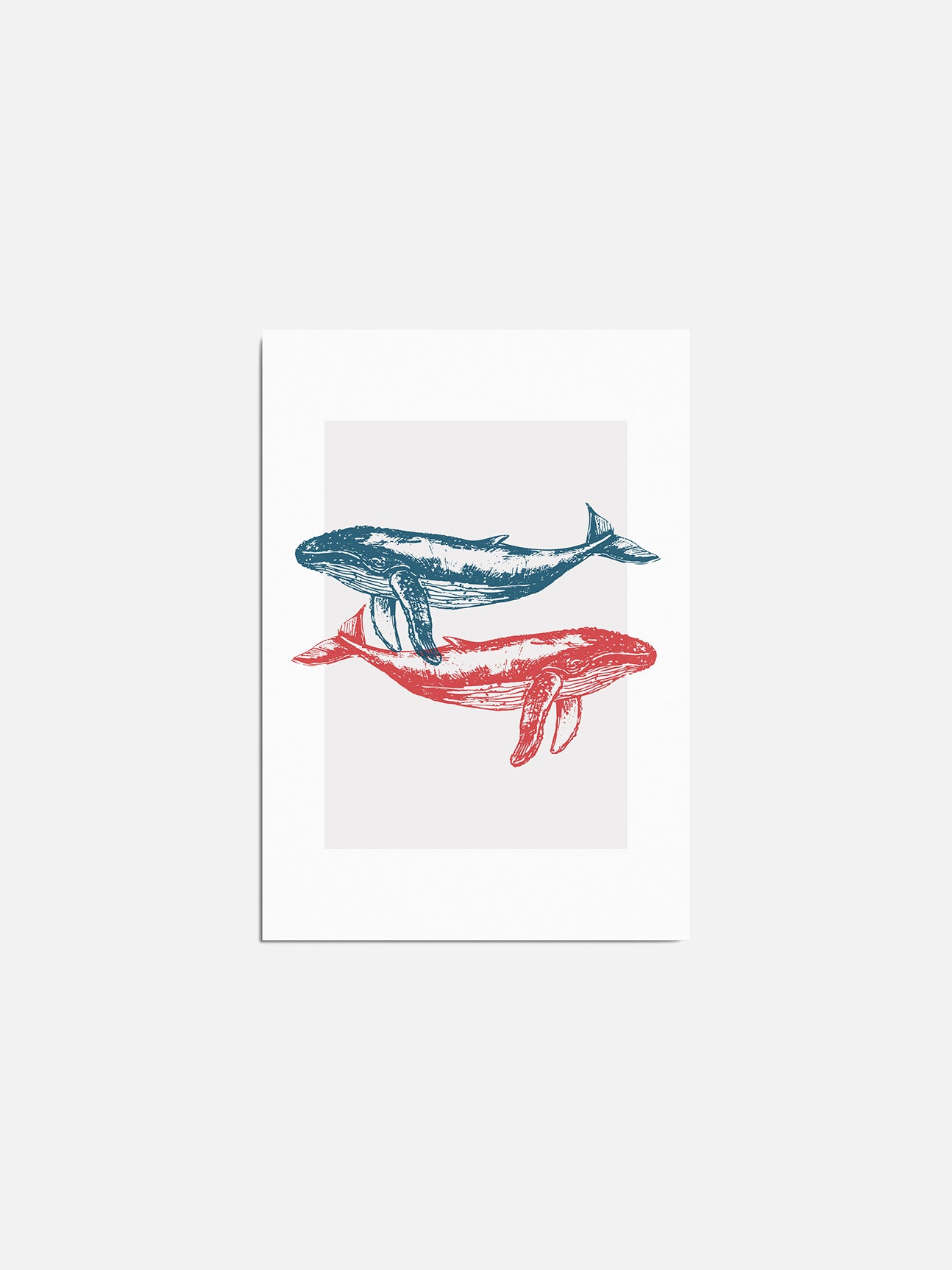 Postcard - Sól&Snjór Studio