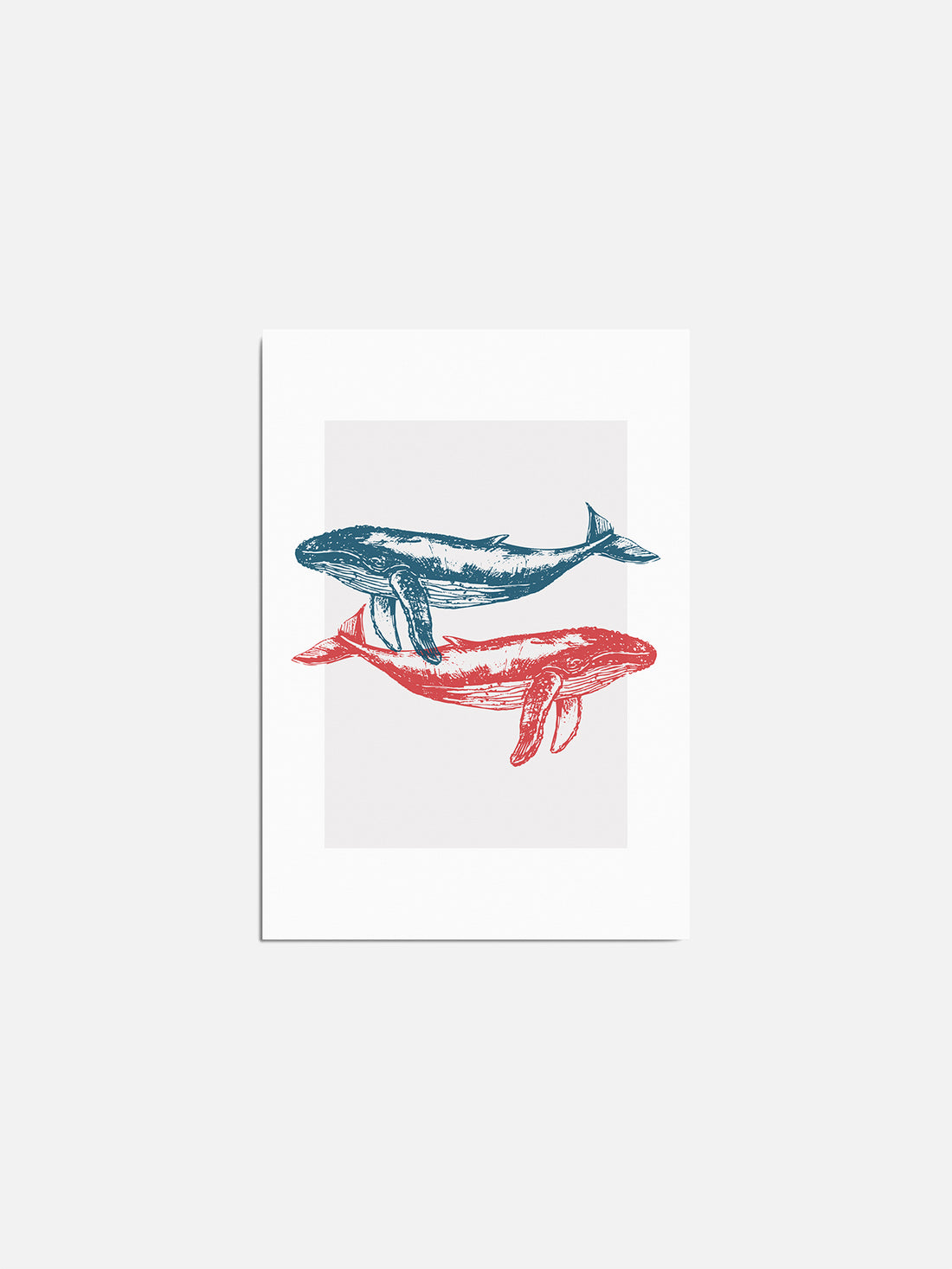 Postcard - Sól&Snjór Studio