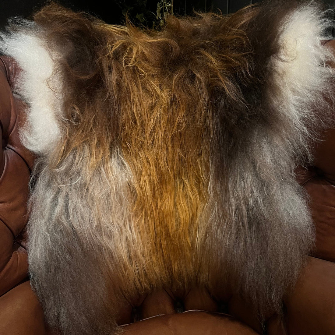 Sheepskin