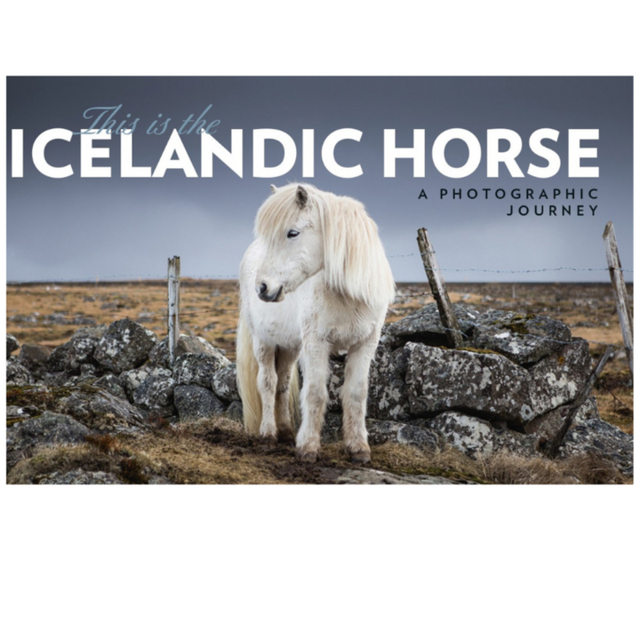 This Is Icelandic Horse - A Photographic Journey (pocket book)