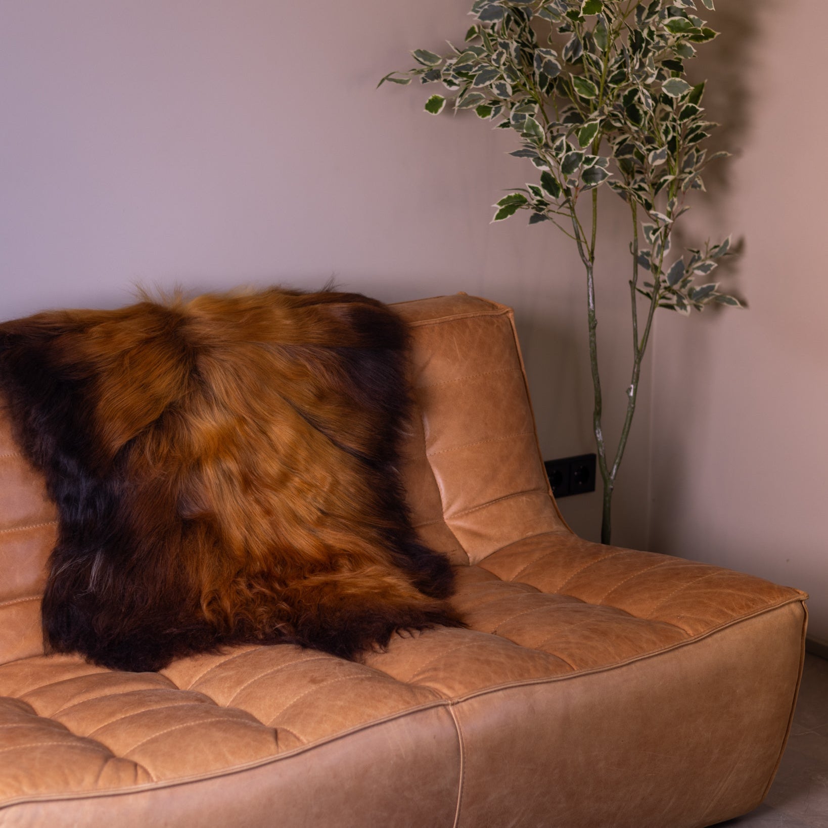 Sheepskin