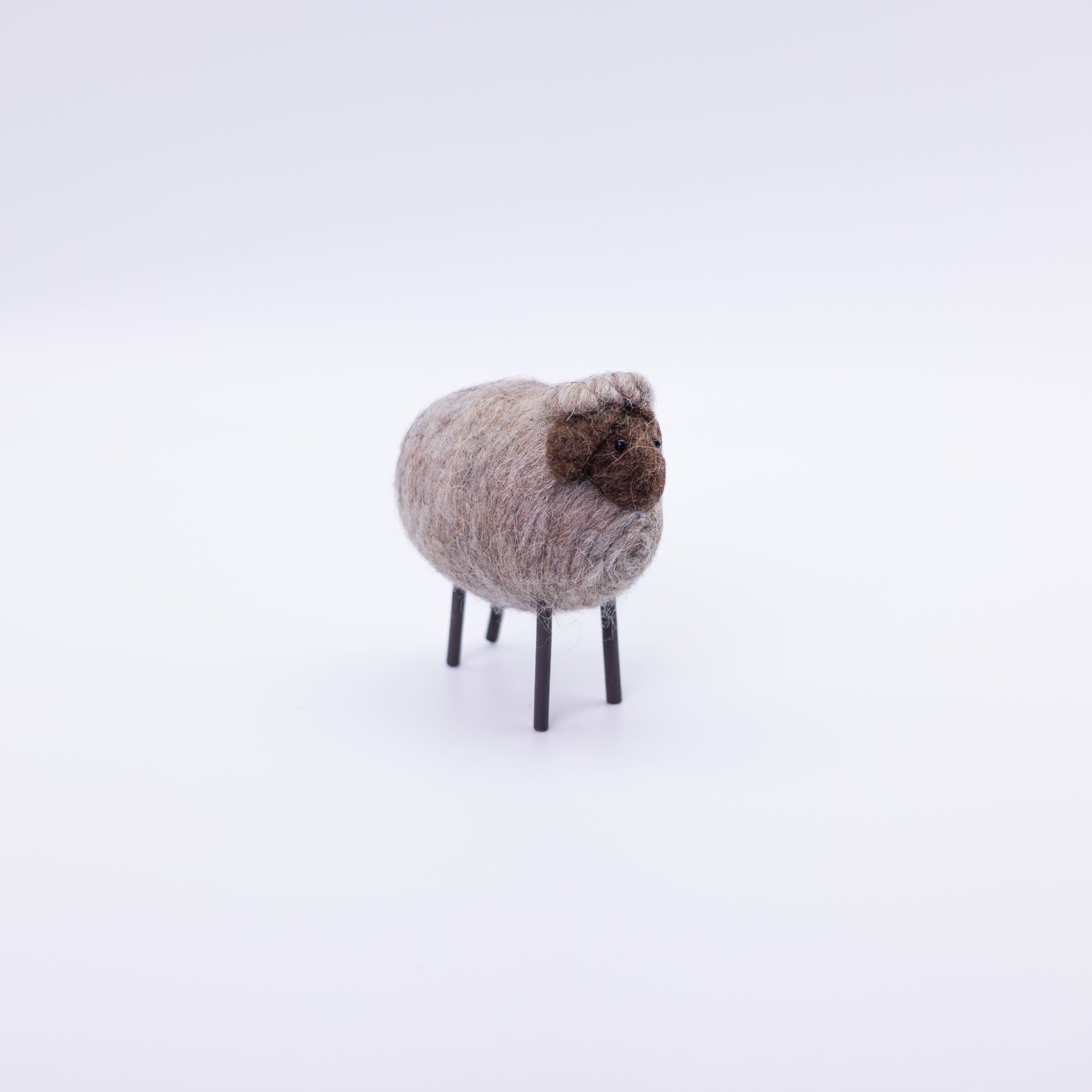 Cute Colorful Sheep