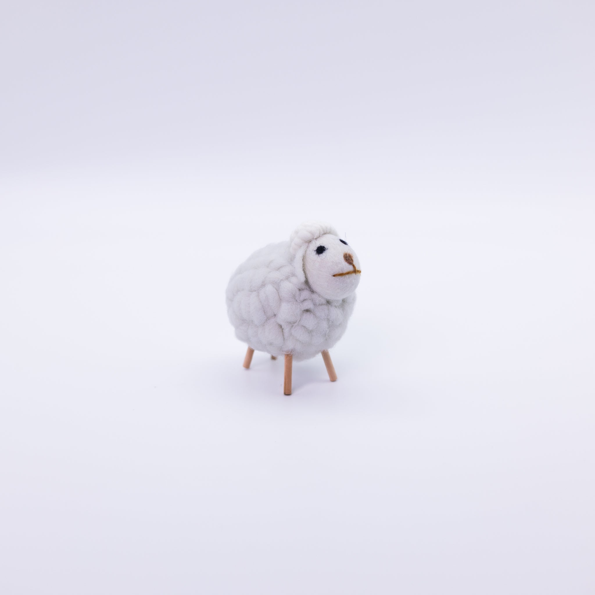 Cute Colorful Sheep
