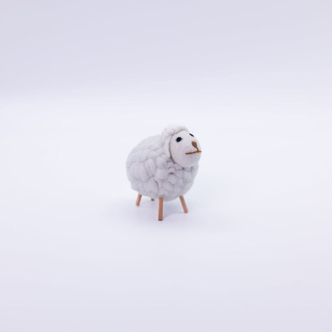 Cute Colorful Sheep