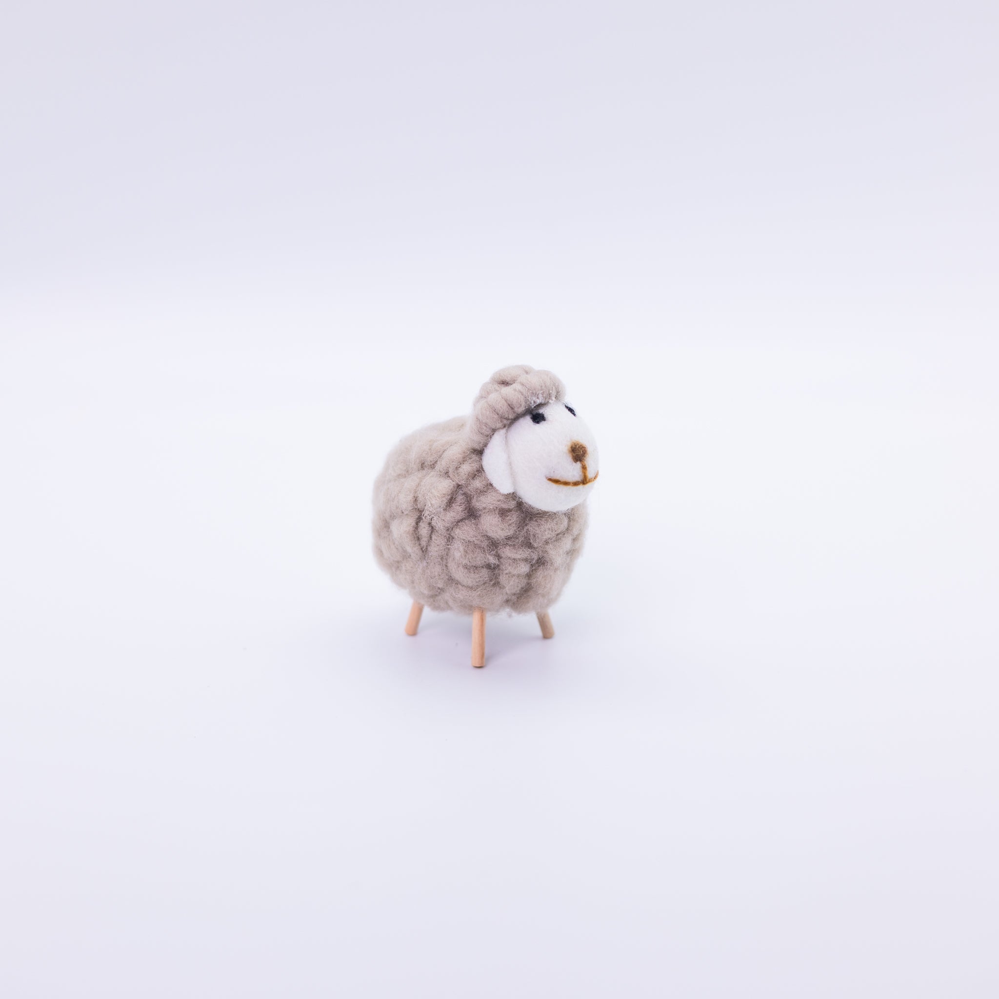 Cute Colorful Sheep