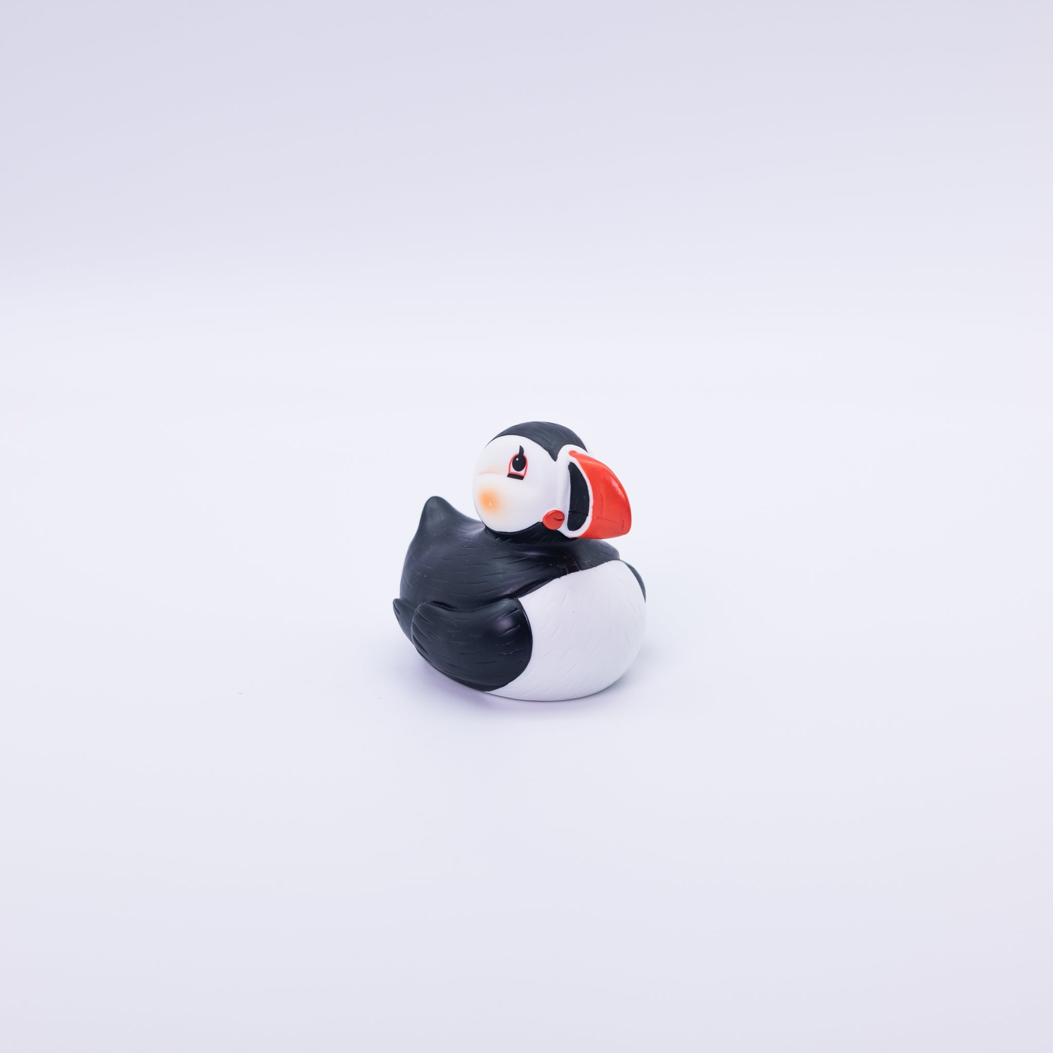 Rubber Duck - Remember Reykjavík