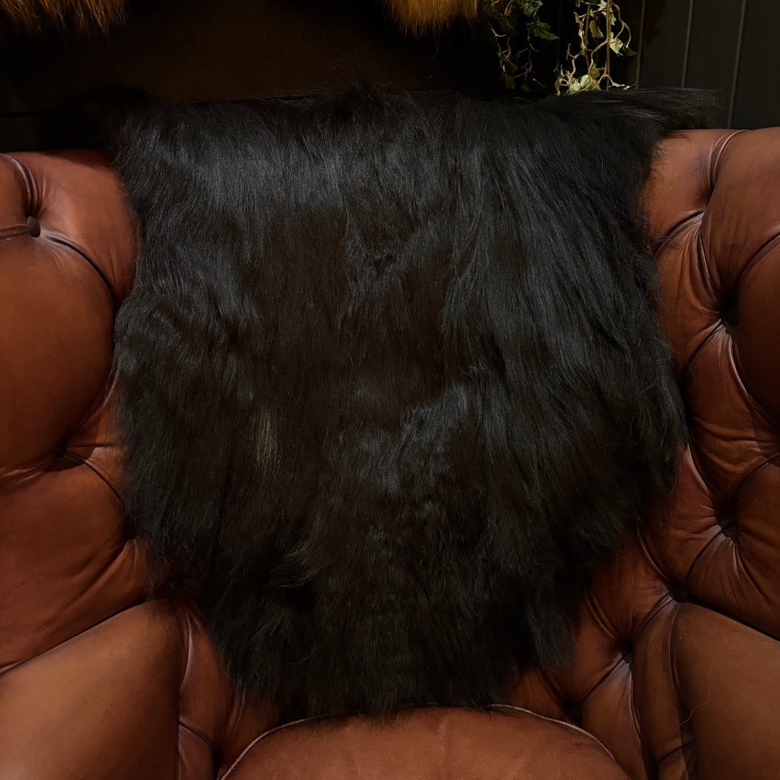Sheepskin