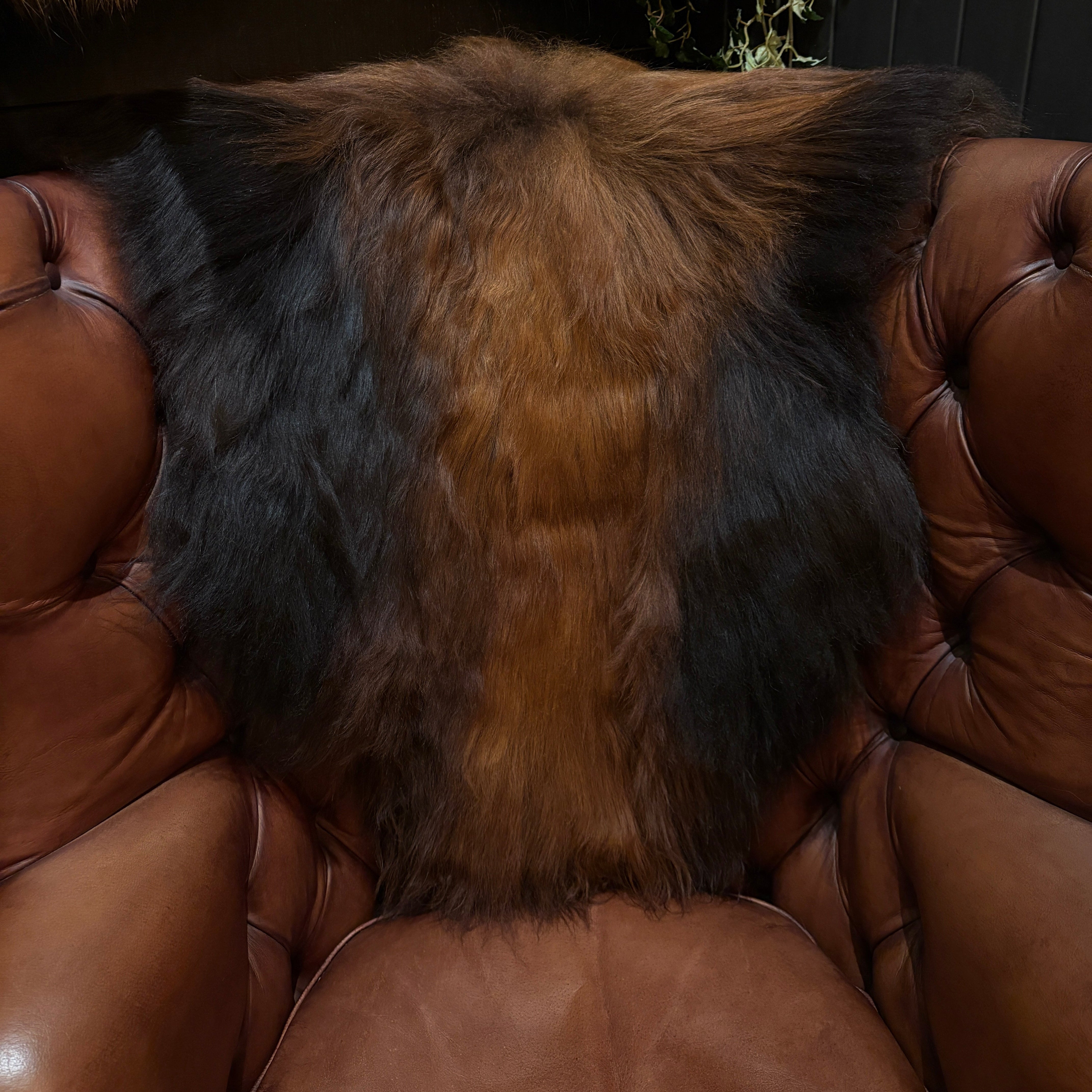 Sheepskin