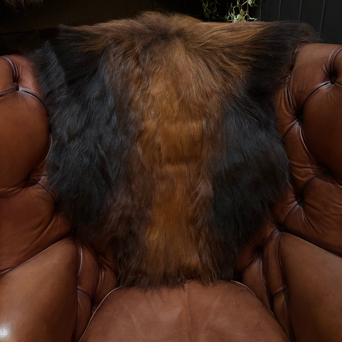 Sheepskin