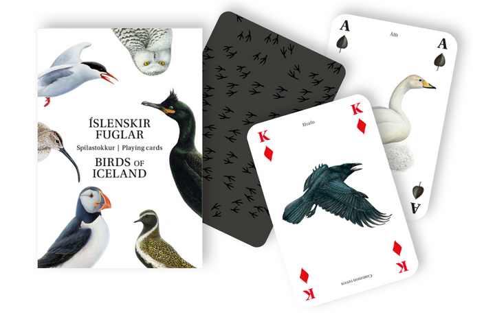 Birds of Iceland Playing Cards