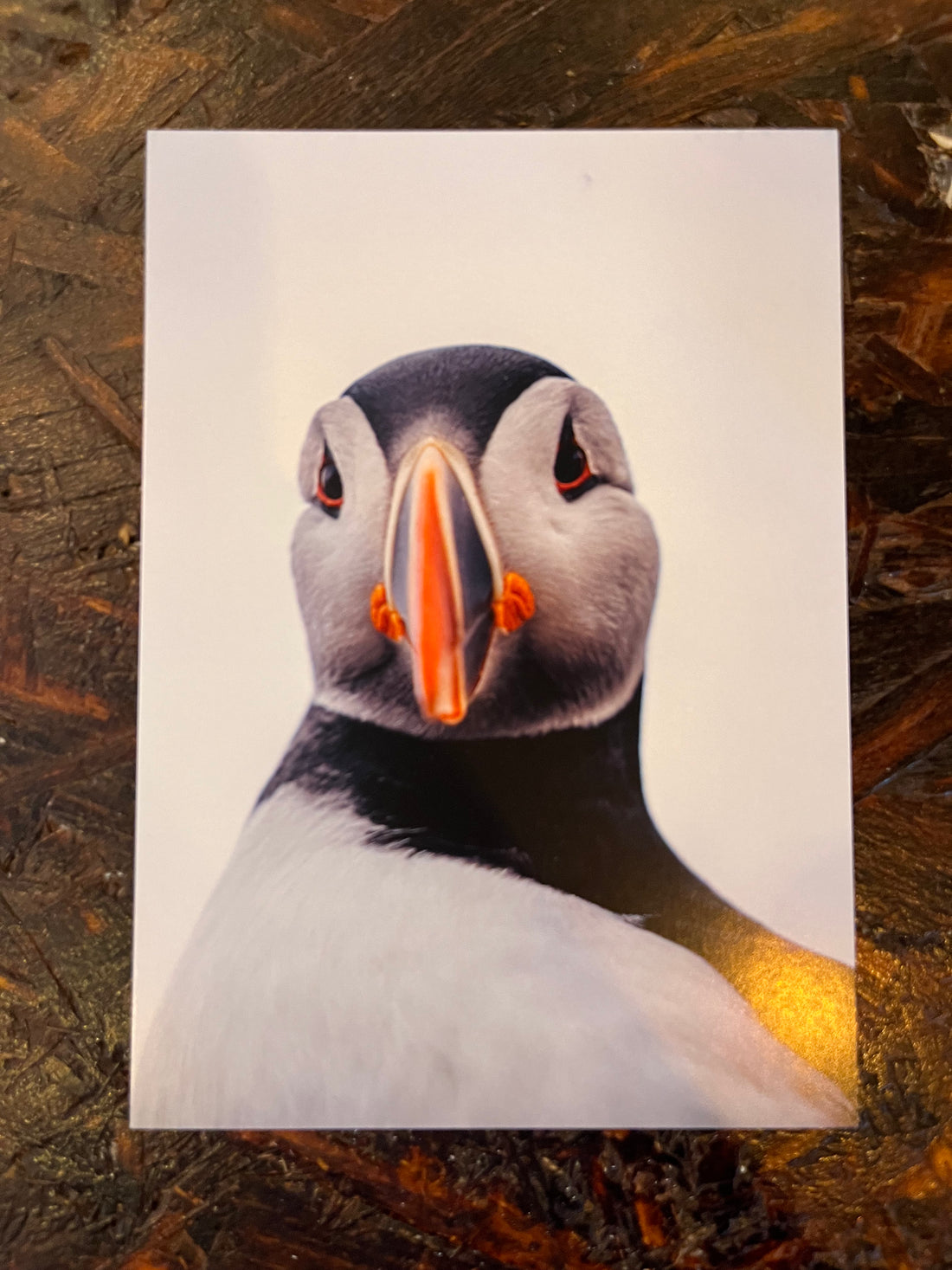 Postcard A6 - Gunnar Gunnarsson Photography