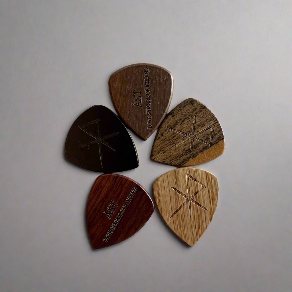 Guitar Pick - Remember Reykjavík