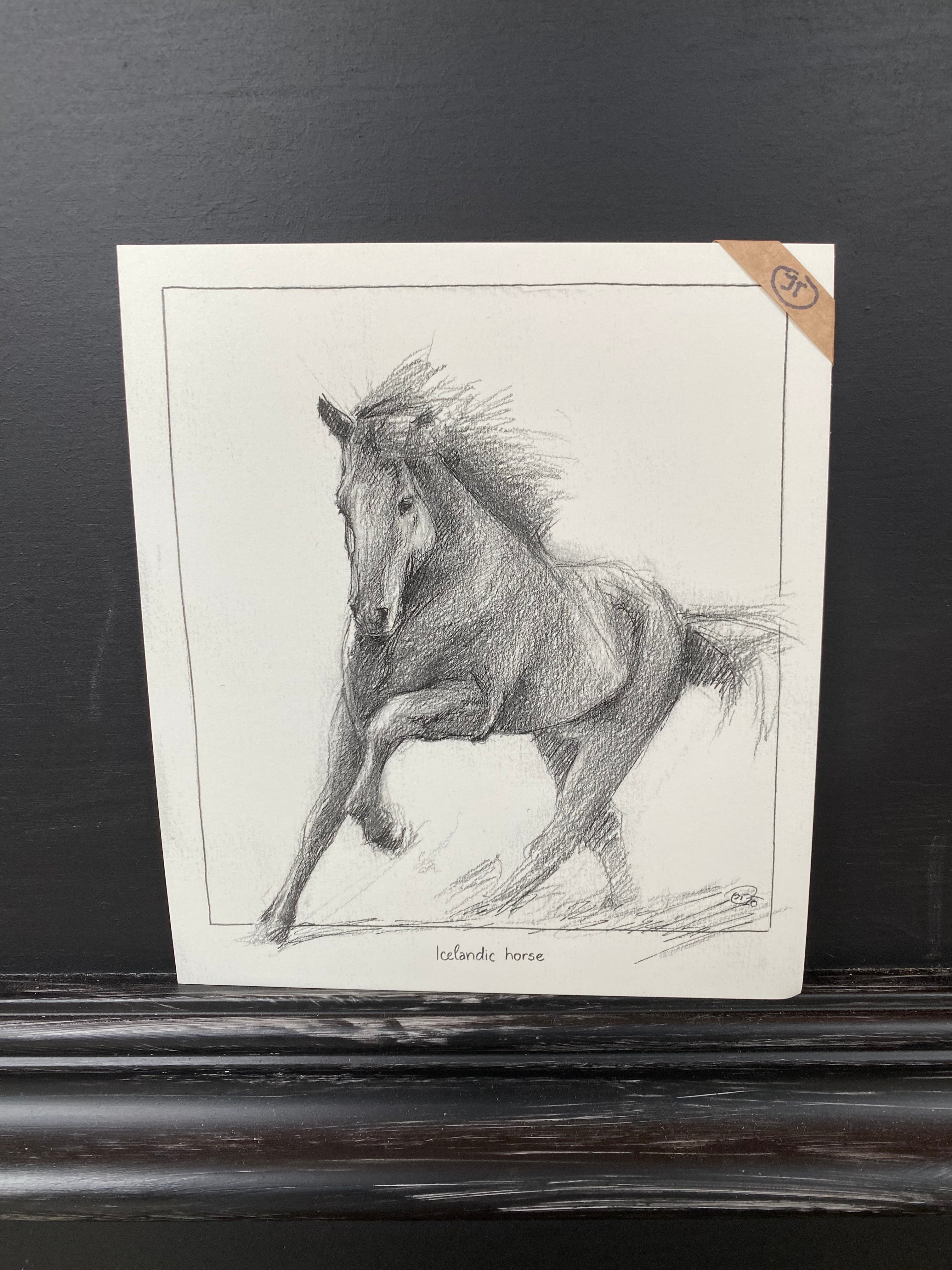 Small Pictures From Iceland - Jana Tomanová