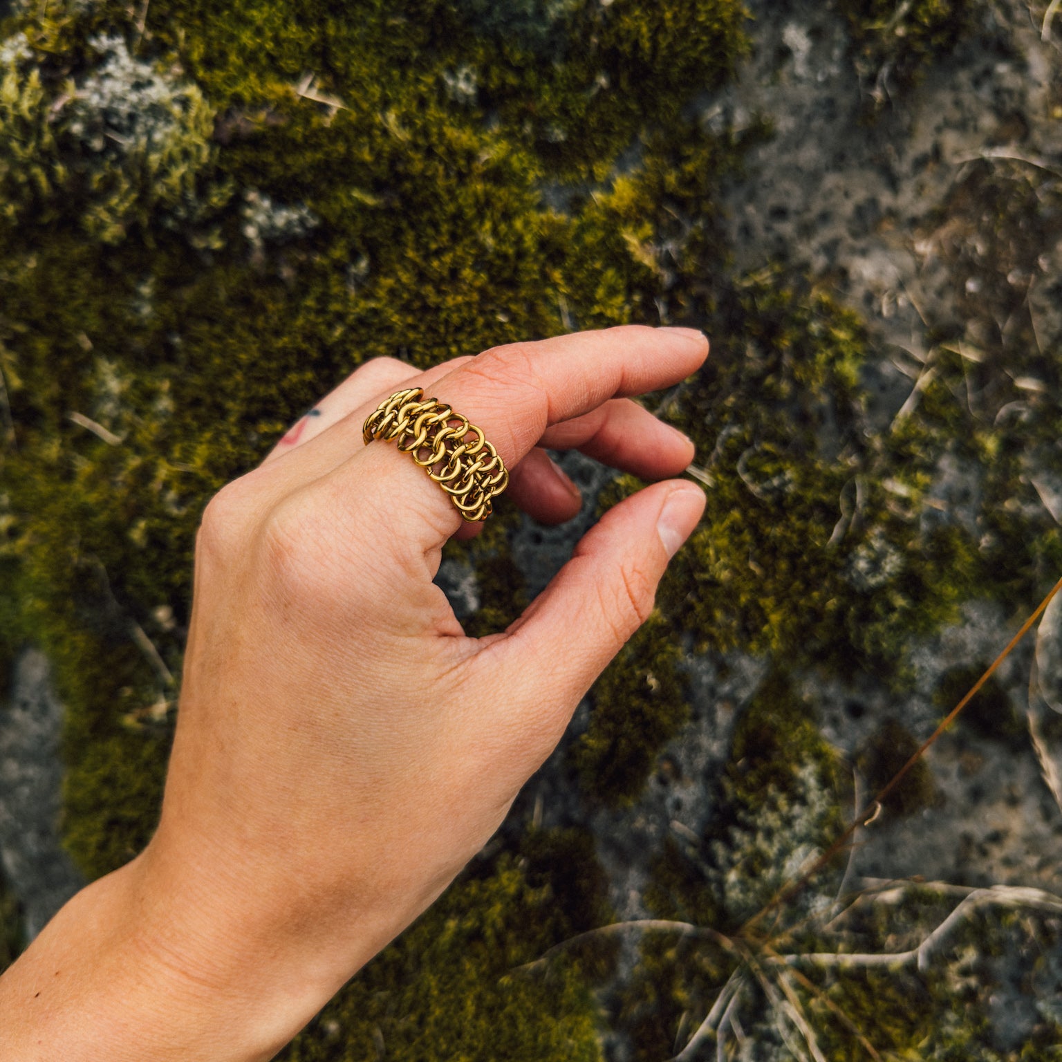 Arctic Tale Ring - Arctic Chain