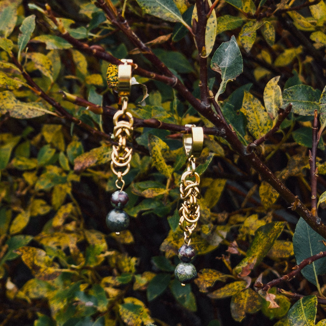 Bloodstone Earrings - Arctic Chain