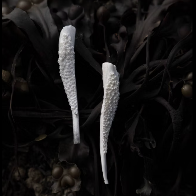 Riba Jewelry - By Aleksandra Koluder
