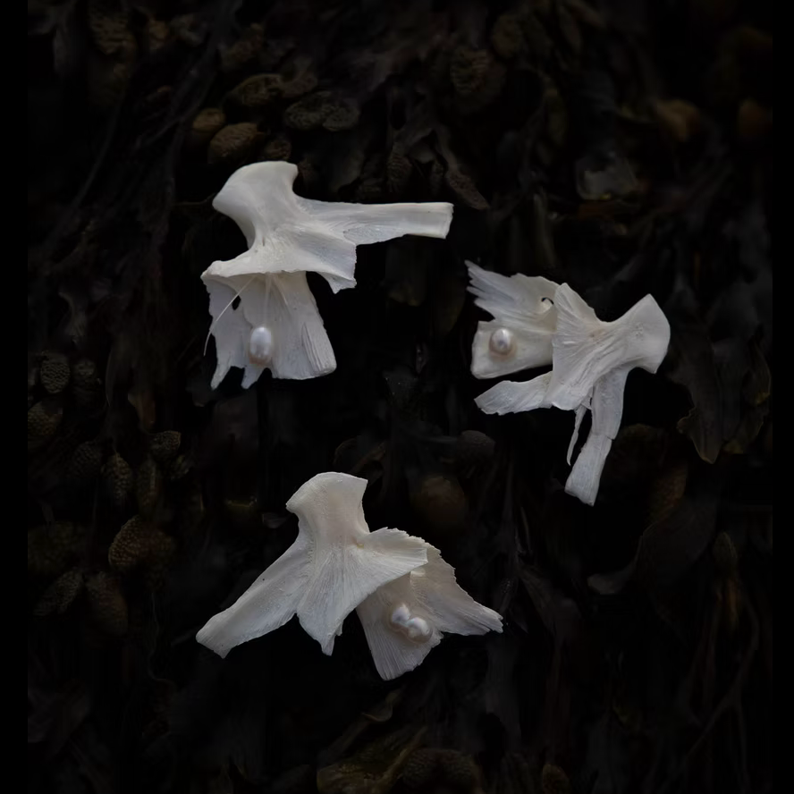 Riba Jewelry - By Aleksandra Koluder