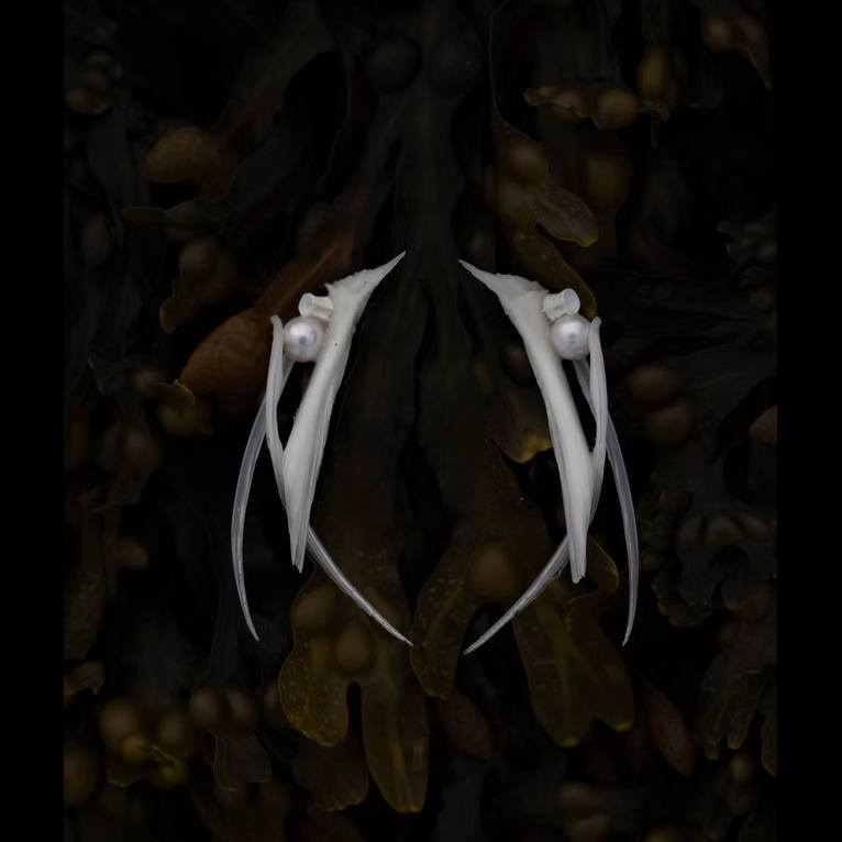 Riba Jewelry - By Aleksandra Koluder